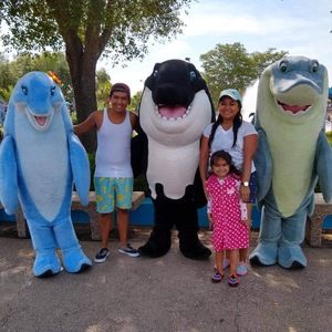 Meet your Posher, Alan